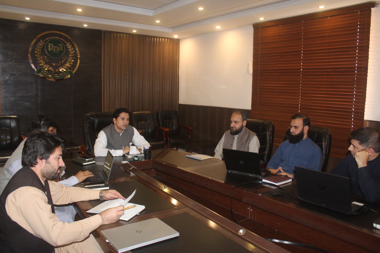 DG PDA chaired Revitalization PLan